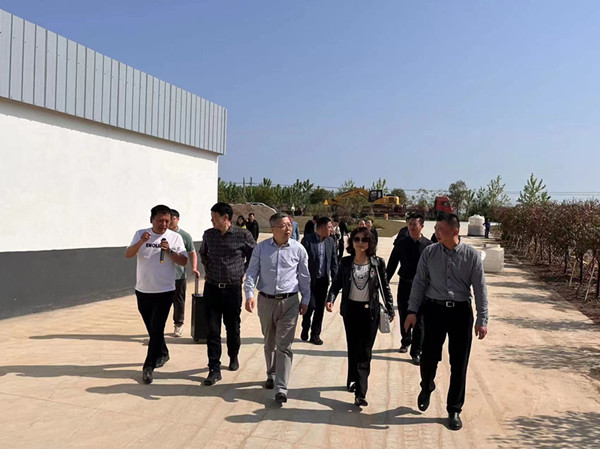 1682495156480908.jpg 3_副本.jpg