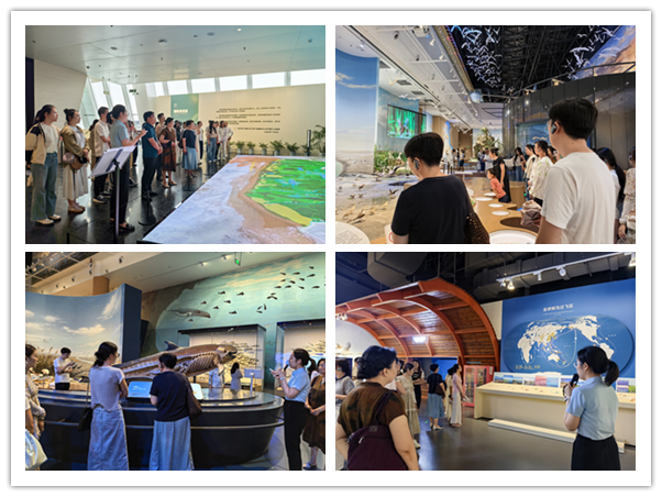 1756720136124008.png 02.png