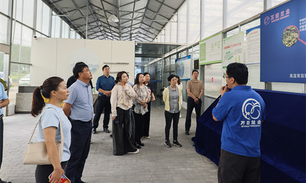 1758793353941234.jpg 5_副本.jpg