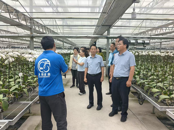 1758793361726505.jpg 2_副本.jpg