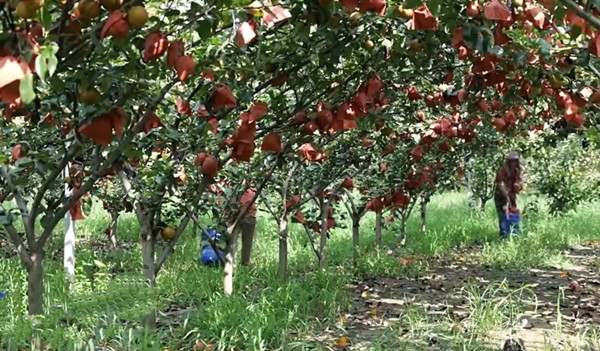 1758793376387286.jpg 3_副本.jpg